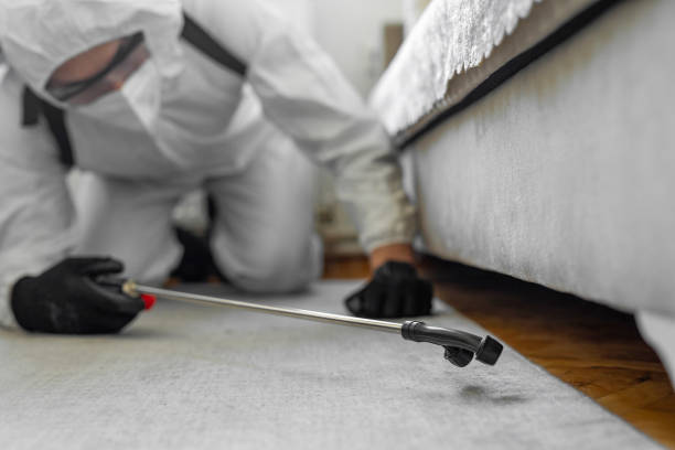 Professional Mosquito Control technician working in University at Buffalo, NY