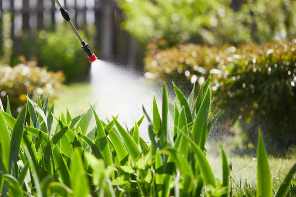 24/7 Emergency Mosquito Control experts in University at Buffalo, NY