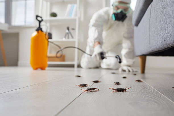Trusted Bed Bug Control service in University at Buffalo, NY - Nex Pest Control