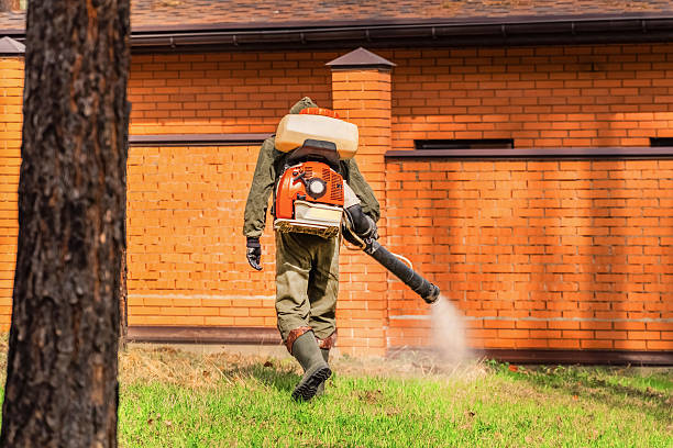 Trusted Termite Control service in University at Buffalo, NY - Nex Pest Control